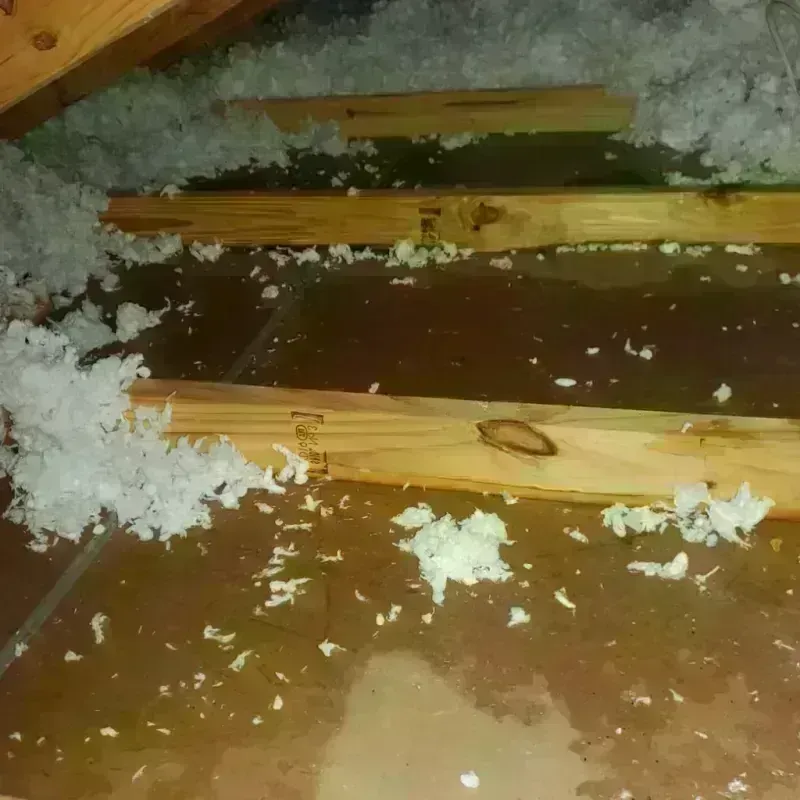 Attic Water Damage in Sutton, WV